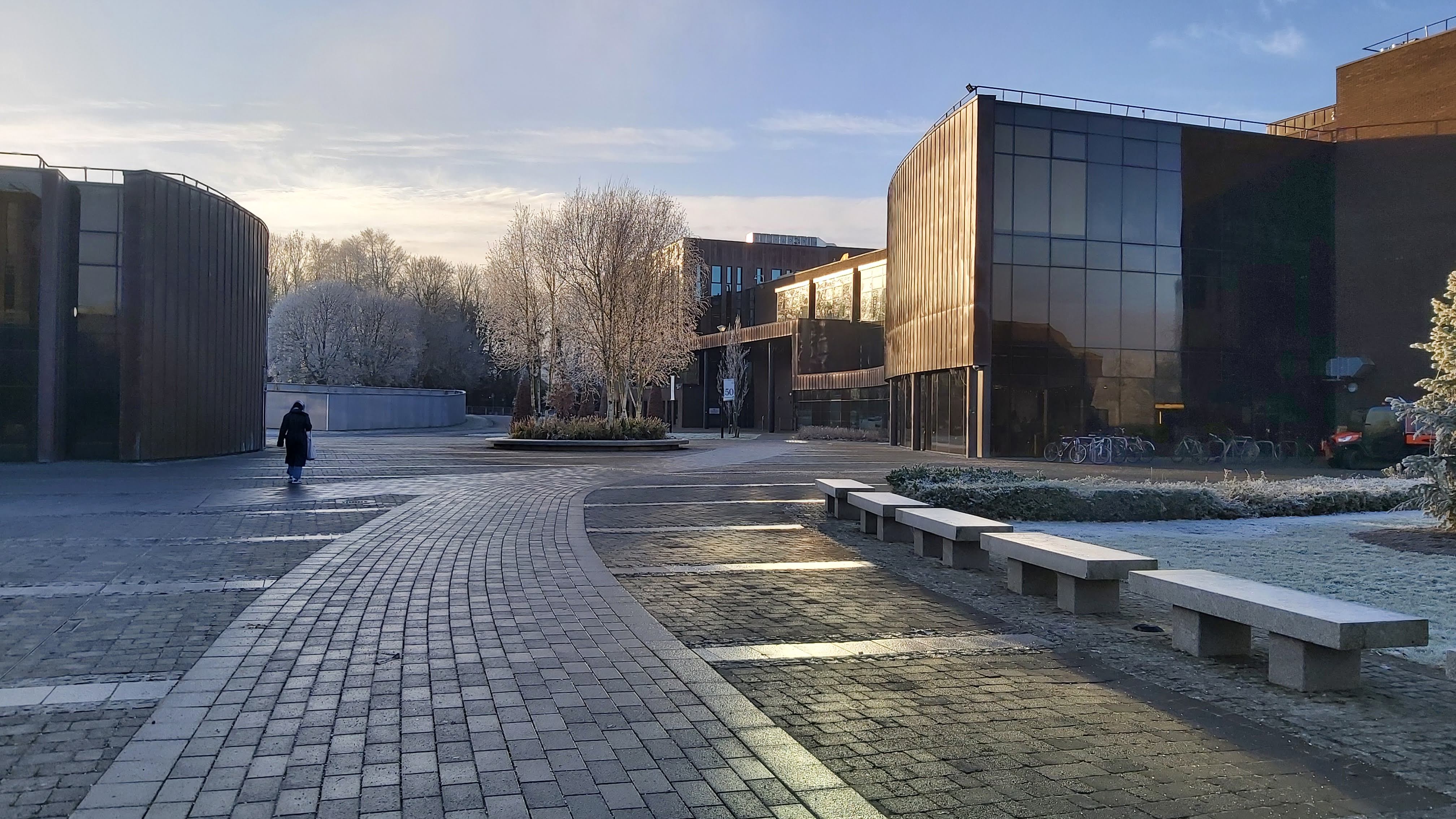 The University of Limerick in winter